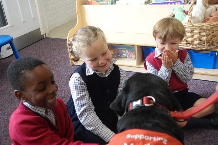 Swanbourne House School, Buckinghamshire, Medical Detection Dogs