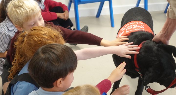 Swanbourne House School, Buckinghamshire, Medical Detection Dogs